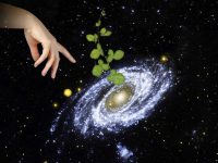 Panspermia: Teoria yjore për origjinën e jetës