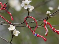 Verorja, tashmë pjesë e Trashëgimisë UNESCO-s